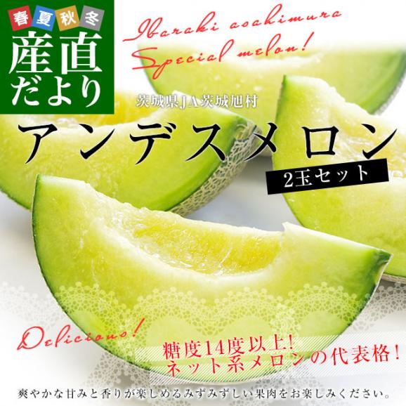 茨城県産 JA茨城旭村 アンデスメロン 秀品 2玉入り (合計約2キロ) 2Lサイズ 送料無料 青肉 めろん メロン02