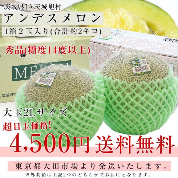 茨城県産 JA茨城旭村 アンデスメロン 秀品 2玉入り (合計約2キロ) 2Lサイズ 送料無料 青肉 めろん メロン03