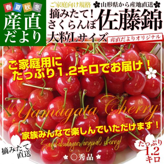 山形県より産地直送！ ご家庭用さくらんぼ 佐藤錦 大ボリューム1.2キロ ○秀品Ⅼサイズ（300g&times;4パック） 送料無料 クール便　サクランボ　桜桃02