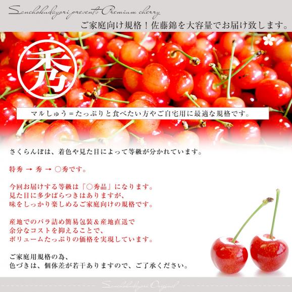 山形県より産地直送！ ご家庭用さくらんぼ 佐藤錦 大ボリューム1.2キロ ○秀品Ⅼサイズ（300g&times;4パック） 送料無料 クール便　サクランボ　桜桃04