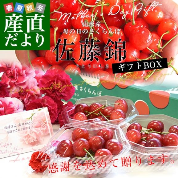 ＼遅れてごめんね／母の日ギフト 山形県産 さくらんぼ佐藤錦ギフトBOX ＭからＬサイズ 合計300g（100g×3入）送料無料 母の日プレゼント サクランボ　桜桃02