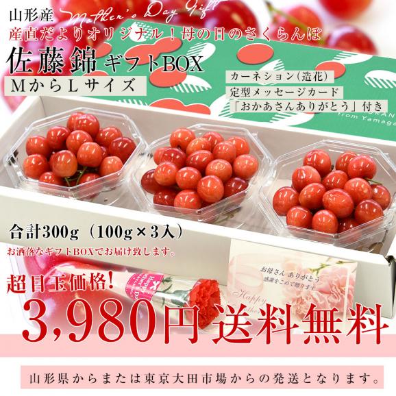 ＼遅れてごめんね／母の日ギフト 山形県産 さくらんぼ佐藤錦ギフトBOX ＭからＬサイズ 合計300g（100g×3入）送料無料 母の日プレゼント サクランボ　桜桃03