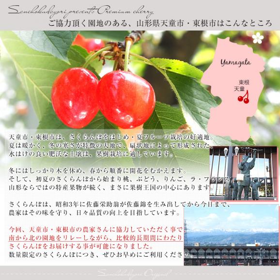 ＼遅れてごめんね／母の日ギフト 山形県産 さくらんぼ佐藤錦ギフトBOX ＭからＬサイズ 合計300g（100g×3入）送料無料 母の日プレゼント サクランボ　桜桃06
