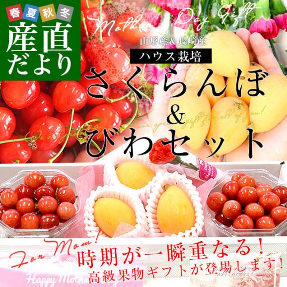 楽天市場】プチジェリチェリー さくらんぼゼリー さくらんぼ
