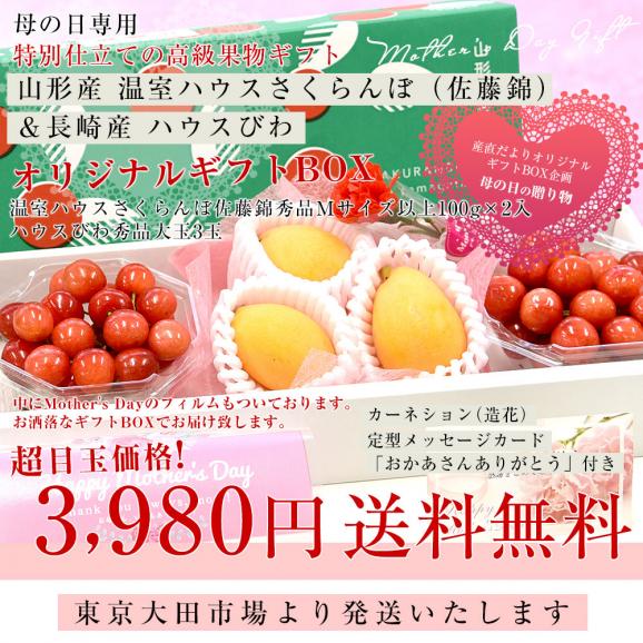 ＼まだ間に合う！／母の日ギフト 山形産 温室ハウスさくらんぼ（佐藤錦） ＆ 長崎産 ハウスびわ オリジナルギフトBOX 送料無料 サクランボ 桜桃 佐藤錦 びわ ビワ クール03