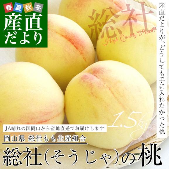 岡山県から産地直送 JA晴れの国岡山 総社もも生産組合 時期が選べる総社(そうじゃ)の桃　青秀以上 約1.5キロ前後 (4玉から6玉) 送料無料 桃 モモ もも ピーチ ギフト 夏ギフト お中元 御中02