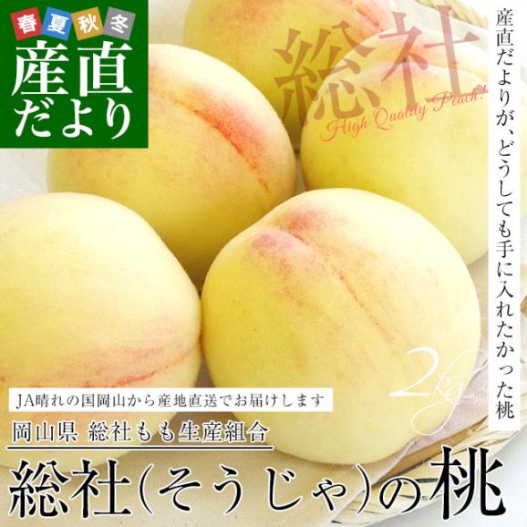 岡山県から産地直送 JA晴れの国岡山 総社もも生産組合 時期が選べる総社(そうじゃ)の桃　青秀以上 約2キロ前後 (5玉から9玉) 送料無料 桃 モモ もも ピーチ ギフト 夏ギフト お中元 御中元02