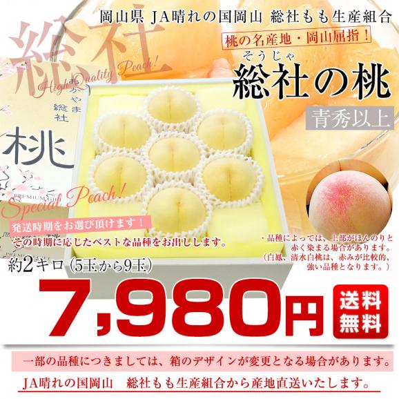 岡山県から産地直送 JA晴れの国岡山 総社もも生産組合 時期が選べる総社(そうじゃ)の桃　青秀以上 約2キロ前後 (5玉から9玉) 送料無料 桃 モモ もも ピーチ ギフト 夏ギフト お中元 御中元03