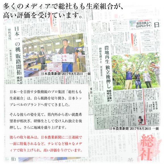 岡山県から産地直送 JA晴れの国岡山 総社もも生産組合 時期が選べる総社(そうじゃ)の桃　青秀以上 約2キロ前後 (5玉から9玉) 送料無料 桃 モモ もも ピーチ ギフト 夏ギフト お中元 御中元06