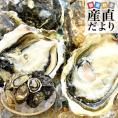 長崎県より産地直送 生食用 真牡蠣＆岩牡蠣セット 合計1.5キロ以上（各種5個入り）送料無料 新上五島町 生牡蠣 カキ