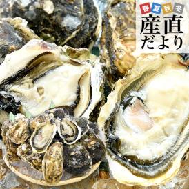 長崎県より産地直送 生食用 真牡蠣＆岩牡蠣セット 合計3キロ以上（各種10個入り）送料無料 新上五島町 生牡蠣 カキ