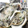 長崎県より産地直送 生食用 岩牡蠣 合計2キロ以上(20個入り) 送料無料 新上五島町 生牡蠣 カキ 生カキ
