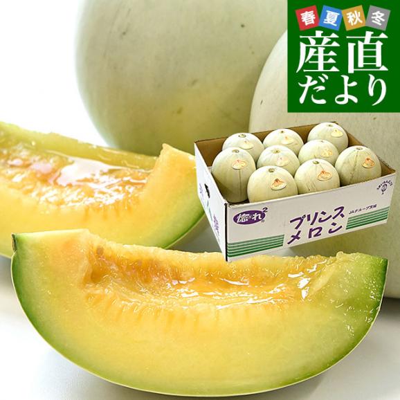 茨城県産 JA常総ひかり プリンスメロン 秀品 5キロ前後(8玉から9玉入り) 送料無料 メロン めろん 市場発送01