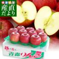 青森県より産地直送 高木商店 マルタカブランド 高木のふじりんご CA貯蔵品 味優先の理由あり 約3キロ (9玉から13玉) 送料無料 林檎 リンゴ ※クール便