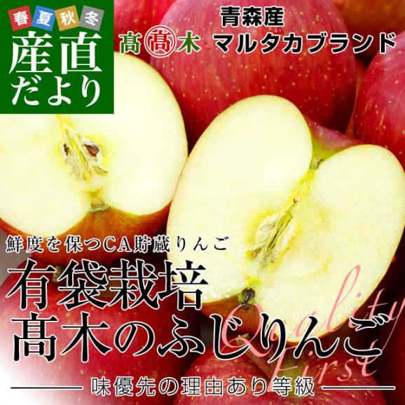 青森県より産地直送 高木商店 マルタカブランド 高木のふじりんご CA貯蔵品 味優先の理由あり 約3キロ (9玉から13玉) 送料無料 林檎 リンゴ ※クール便02