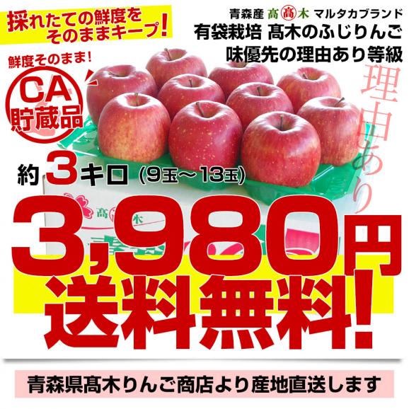 青森県より産地直送 高木商店 マルタカブランド 高木のふじりんご CA貯蔵品 味優先の理由あり 約3キロ (9玉から13玉) 送料無料 林檎 リンゴ ※クール便03