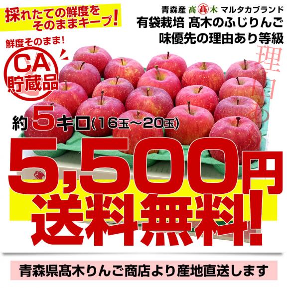 青森県より産地直送 高木商店 マルタカブランド 高木のふじりんご CA貯蔵品 味優先の理由あり 約5キロ (16玉から20玉) 送料無料 林檎 リンゴ ※クール便03