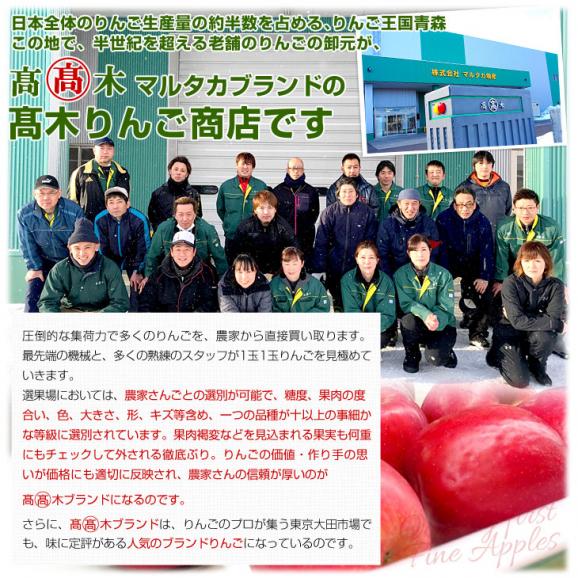 青森県より産地直送 高木商店 マルタカブランド 高木のふじりんご CA貯蔵品 味優先の理由あり 約5キロ (16玉から20玉) 送料無料 林檎 リンゴ ※クール便06