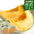 茨城県産 JA茨城旭村 クインシーメロン 秀品 2玉セット (合計約2キロ) 2Lサイズ 送料無料 赤肉 めろん