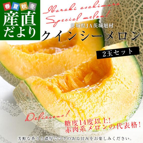 茨城県産 JA茨城旭村 クインシーメロン 秀品 2玉セット (合計約2キロ) 2Lサイズ 送料無料 赤肉 めろん02