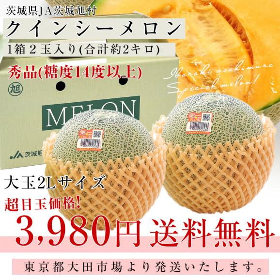 茨城県産 JA茨城旭村 クインシーメロン 秀品 2玉セット (合計約2キロ) 2Lサイズ 送料無料 赤肉 めろん03