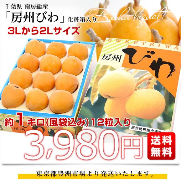 千葉県 南房総産 房州びわ 約1キロ(風袋込み) 12粒入り 3Lから2Lサイズ送料無料 ビワ 枇杷 クール便 03