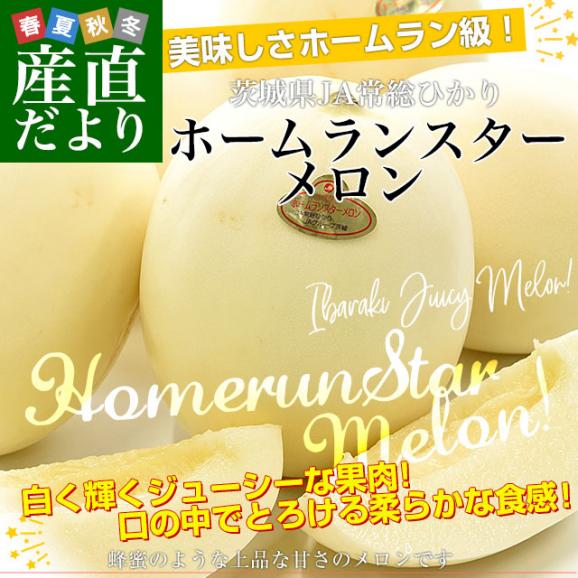 茨城県産 JA常総ひかり ホームランスターメロン Lから3Lサイズ 優品以上 約5キロ(4玉から6玉) 送料無料 メロン めろん 市場発送02