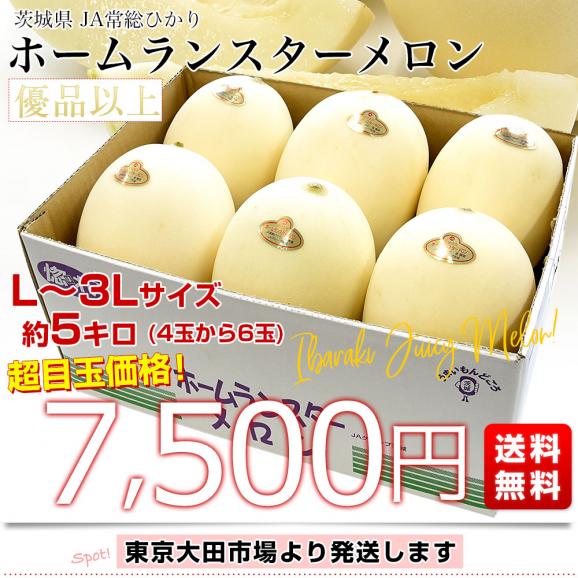 茨城県産 JA常総ひかり ホームランスターメロン Lから3Lサイズ 優品以上 約5キロ(4玉から6玉) 送料無料 メロン めろん 市場発送03