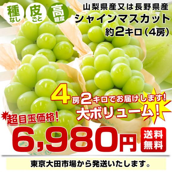 山梨県 又は 長野県産 シャインマスカット　約2キロ（4房）送料無料 ぶどう ブドウ 種なしぶどう 葡萄  ※クール便03