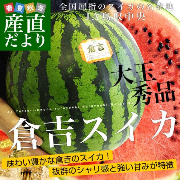 鳥取県産JA鳥取中央　倉吉スイカ　秀品　大玉4Lサイズ　9キロ以上　1玉　西瓜　すいか　スイカ　送料無料02