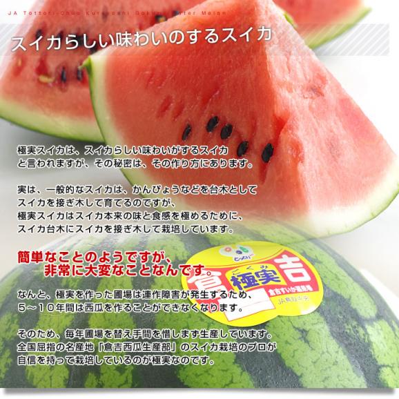 鳥取県産　JA鳥取中央倉吉スイカ　極実（ごくみ） 秀品 ３L以上の大玉 7.5キロ以上 送料無料 西瓜 すいか05
