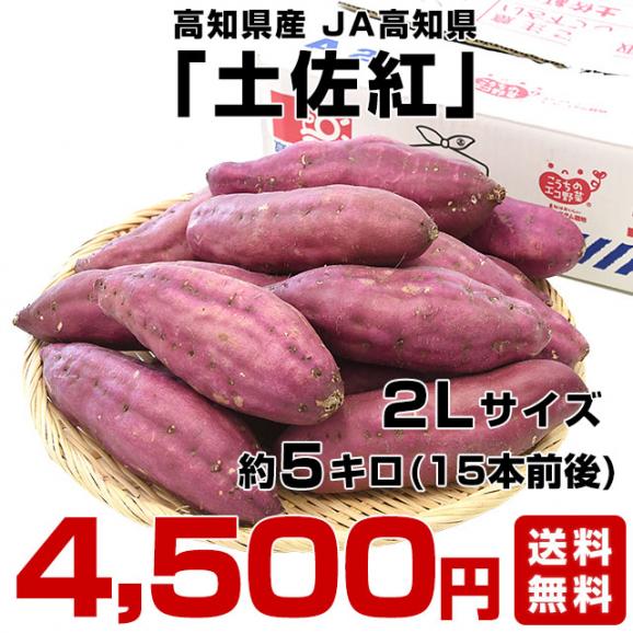 高知県産　JA高知県　土佐紅　A級品2Lサイズ5キロ　15本前後　送料無料　とさべに　さつまいも　サツマイモ　薩摩芋　新芋　市場発送03