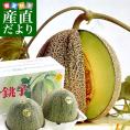 千葉県産 JAちばみどり アムスメロン 金印16 大玉 合計約4キロ（2キロ×2玉）送料無料 めろん メロン 市場発送