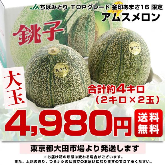 千葉県産 JAちばみどり アムスメロン 金印16 大玉 合計約4キロ（2キロ&times;2玉）送料無料 めろん メロン 市場発送03