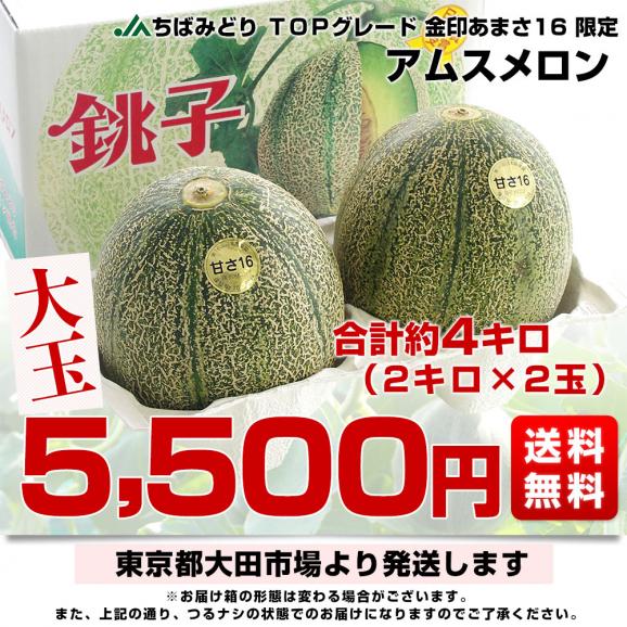 千葉県産 JAちばみどり アムスメロン 金印16 大玉 合計約4キロ（2キロ×2玉）送料無料 めろん メロン 市場発送03