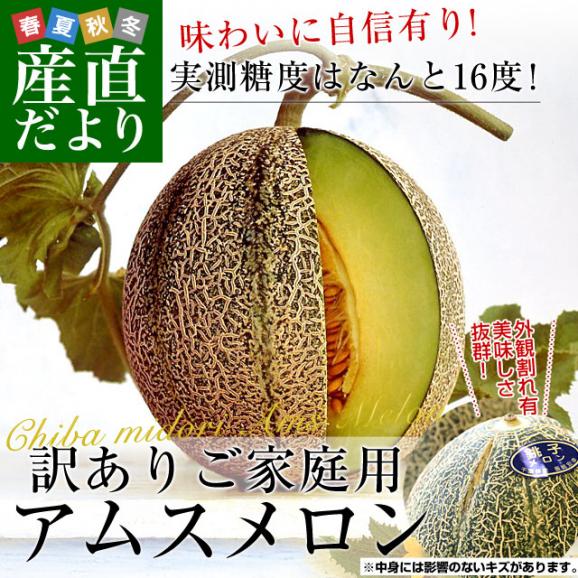 千葉県産 JAちばみどり アムスメロン 訳あり 約5キロ （4玉から6玉）送料無料 めろん メロン 市場発送02