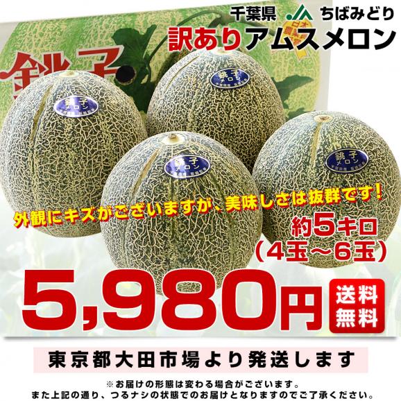 千葉県産 JAちばみどり アムスメロン 訳あり 5キロ （4玉から6玉）送料無料 めろん 市場スポット03