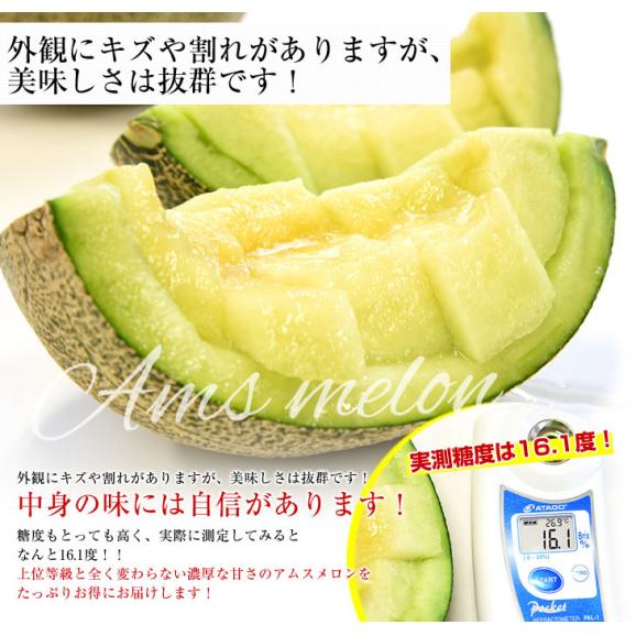 千葉県産 JAちばみどり アムスメロン 訳あり 5キロ （4玉から6玉）送料無料 めろん 市場スポット04