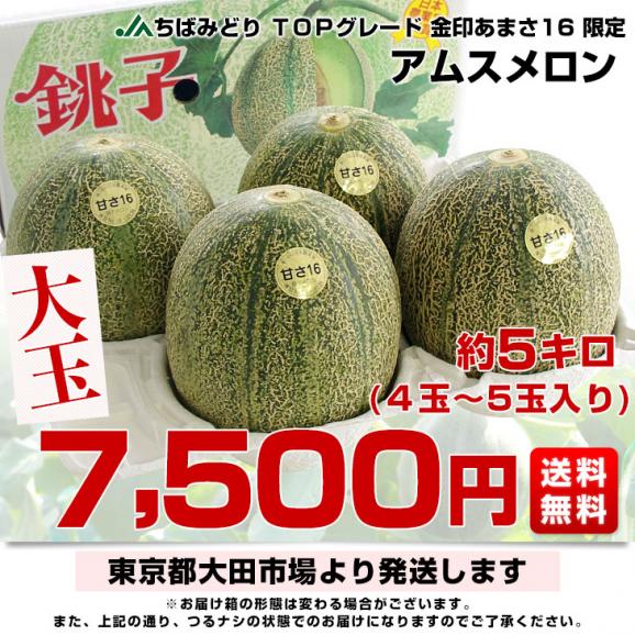 千葉県産 JAちばみどり アムスメロン 金印16 大玉 約5キロ（4玉から5玉） 送料無料 めろん メロン 市場発送03