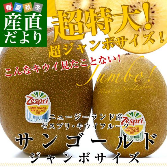 ニュージーランド産 ゼスプリ・サンゴールドキウイ「ジャンボサイズ」 約2.2キロ（12玉入り）送料無料 キウイフルーツ クール便02