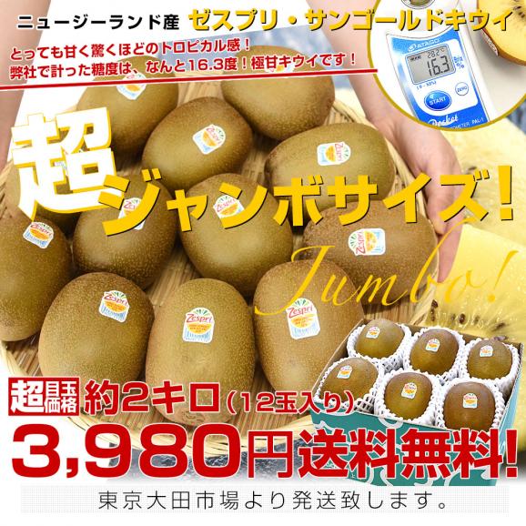 ニュージーランド産 ゼスプリ・サンゴールドキウイ「ジャンボサイズ」 約2キロ（12玉入り）送料無料 キウイフルーツ クール便03