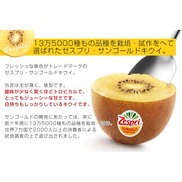 ニュージーランド産 ゼスプリ・サンゴールドキウイ「ジャンボサイズ」 約2キロ（12玉入り）送料無料 キウイフルーツ クール便04