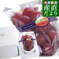 石川県産 JA全農いしかわ ルビーロマン 秀品G（1粒約30gの超大玉）1房 900g以上 化粧箱入り 葡萄 ぶどう 送料無料 ※クール便
