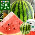 山形県産 JAみちのく村山 尾花沢すいか ＜Ｃ品＞ 大玉5Lサイズ以上 1玉 9キロ以上　西瓜 スイカ すいか