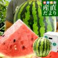 山形県産 JAみちのく村山 尾花沢すいか ＜C品＞ 大玉5Lサイズ以上 1玉 9キロ以上　送料無料 西瓜 スイカ すいか