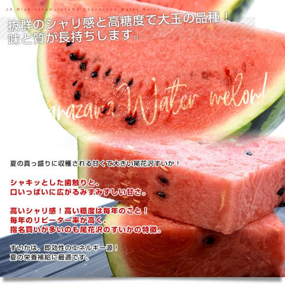 山形県産 JAみちのく村山 尾花沢すいか ＜Ｃ品＞ 大玉5Lサイズ以上 1玉 9キロ以上　西瓜 スイカ すいか04
