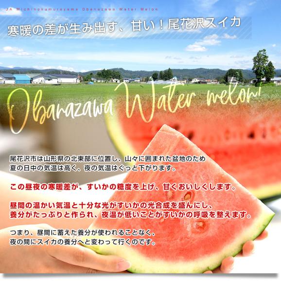 山形県産 JAみちのく村山 尾花沢すいか ＜Ｃ品＞ 大玉5Lサイズ以上 1玉 9キロ以上　西瓜 スイカ すいか05