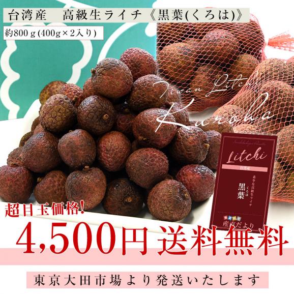 台湾産 高級 生ライチ 「黒葉（くろは）」約800g（400g×2入り） 送料無料 トロピカルフルーツ ※クール便03