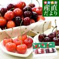 チェリーセット ワシントン州産アメリカンチェリー「ビング種」大玉約200g＆山形県寒河江市産さくらんぼ「紅秀峰」秀品Lサイズ以上約200g　送料無料 チェリー サクランボ　桜桃