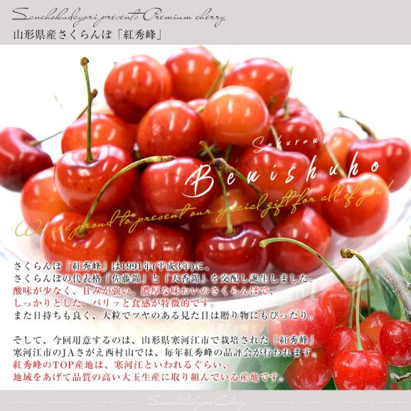 山形県 寒河江市産 さくらんぼ「紅秀峰」秀品Lサイズ以上 約400g(200g×2パック) 送料無料 サクランボ　桜桃 クール便04